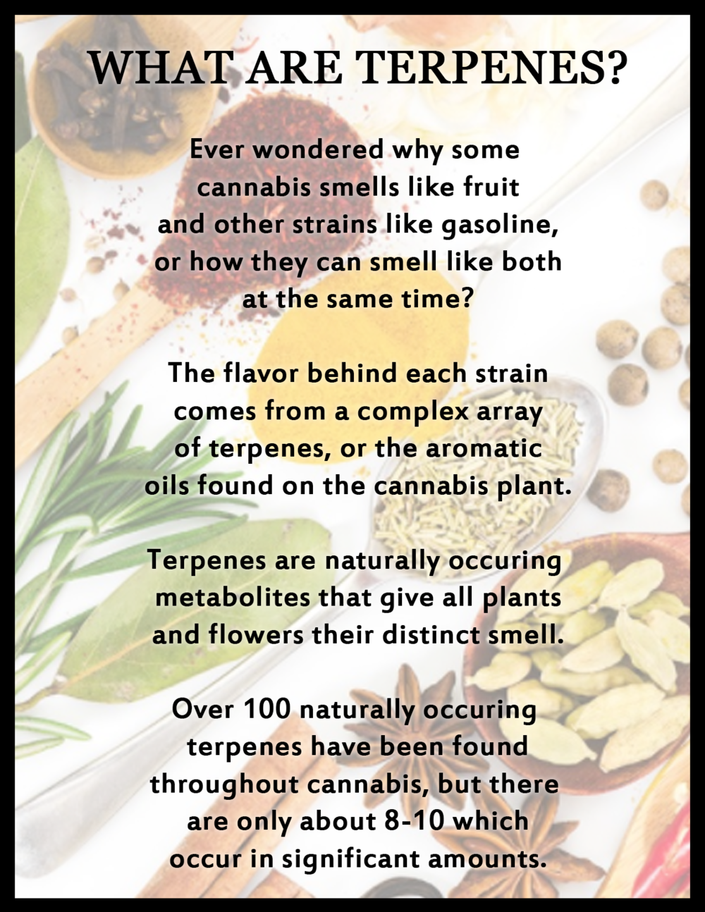 What Are Terpenes.png
