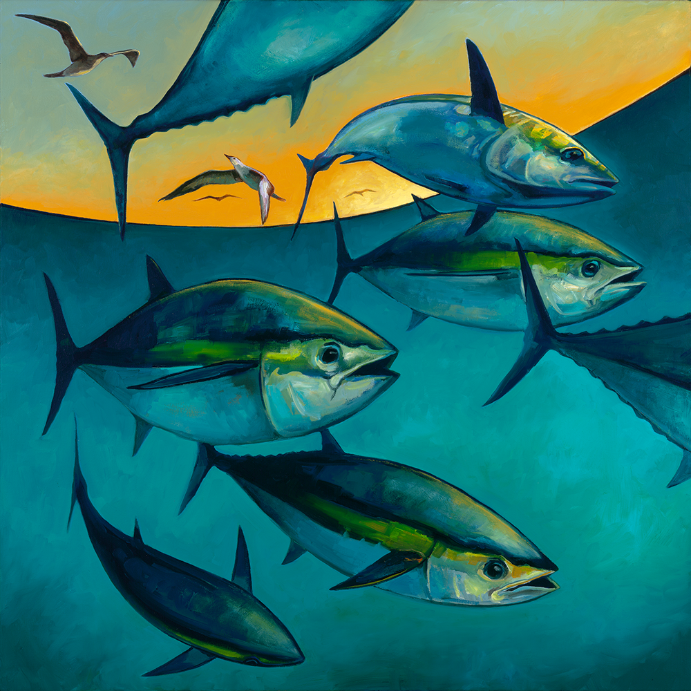 Ahi Run.png
