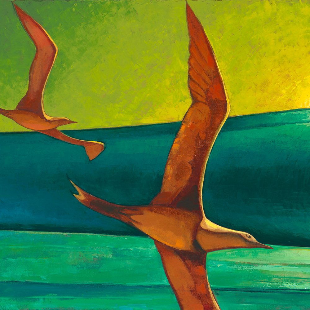 Shearwater Sunrise.png