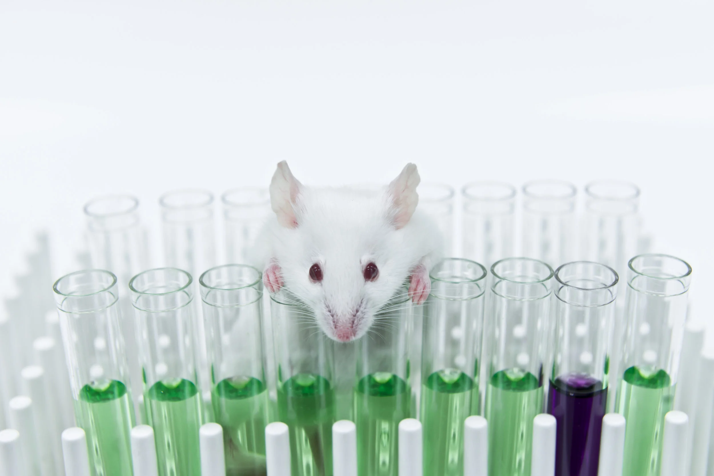 shutterstock_657133081Reagents.jpg