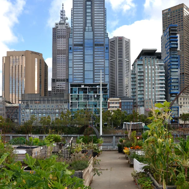 urban-greening-sustainability.jpg