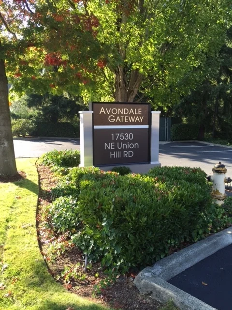 image1 (1).jpeg