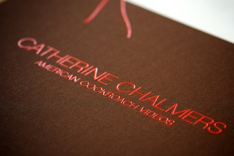 BOOK COVER DESIGN FOR THE ARTIST CATHERINE CHALMERS