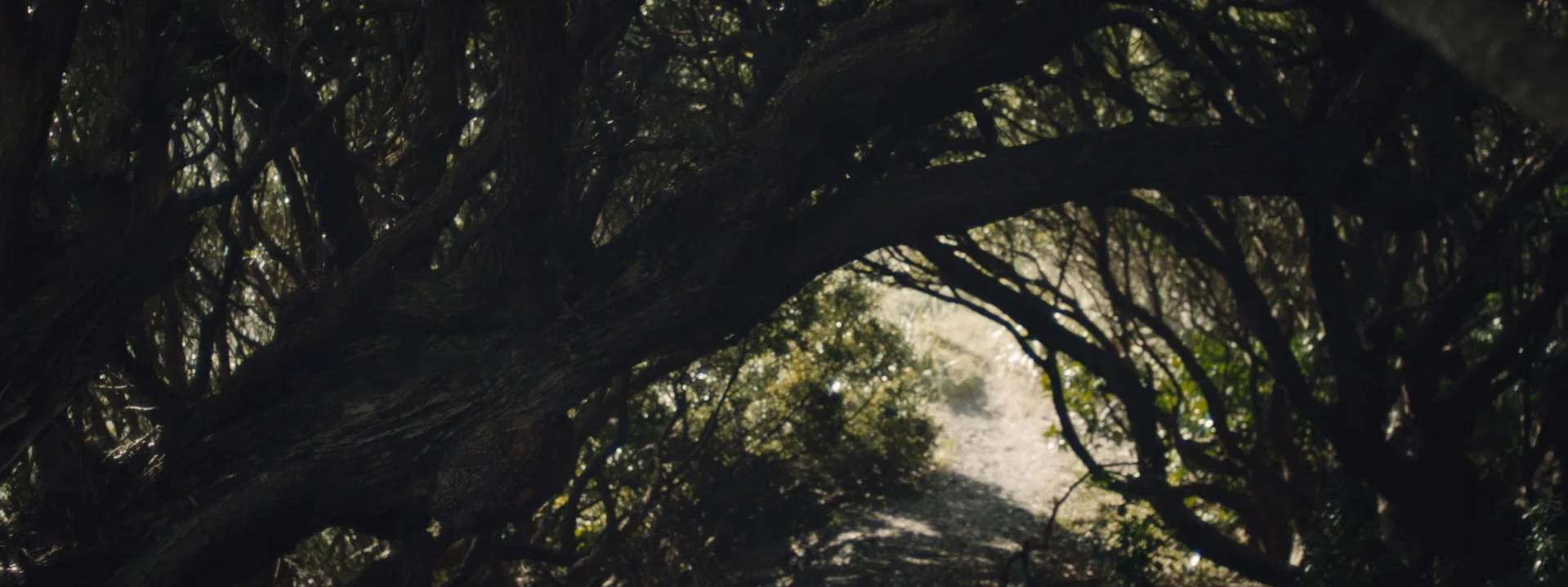 WTQC_Matic_Prusnik_Colour_Grading_014.jpg