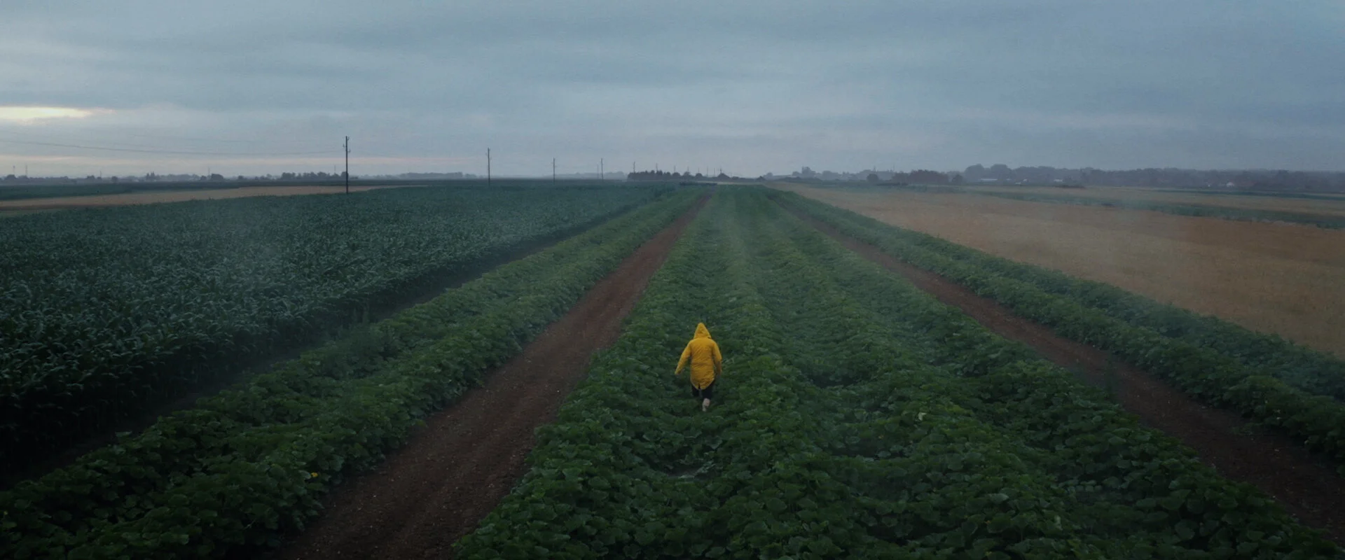 Sequence 02.00_05_09_01.Still036.jpg