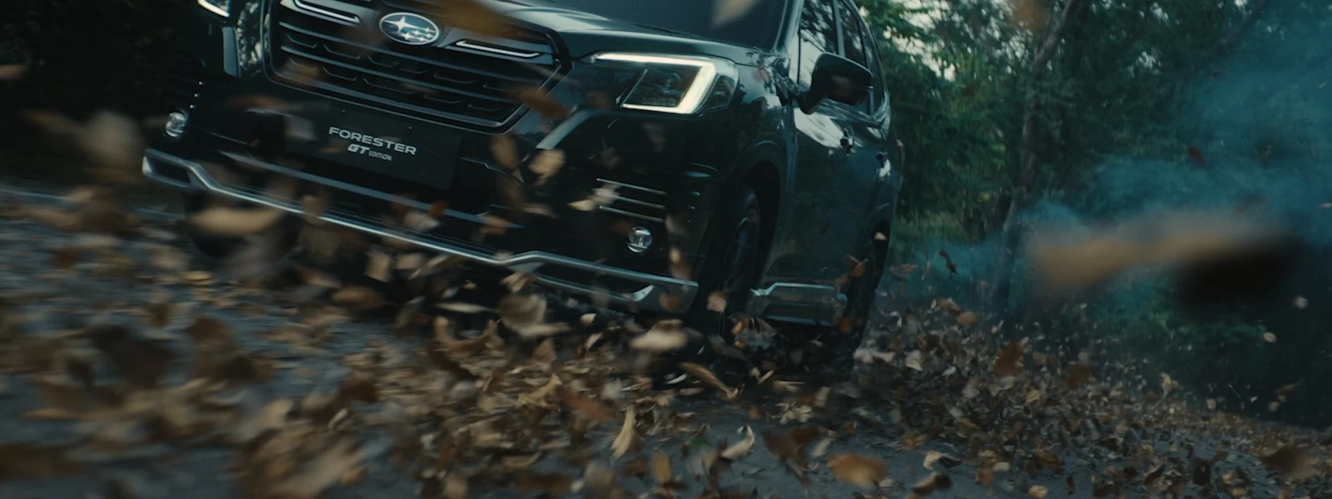 Matic_Prusnik_Colourist_SubaruForester_08.jpg