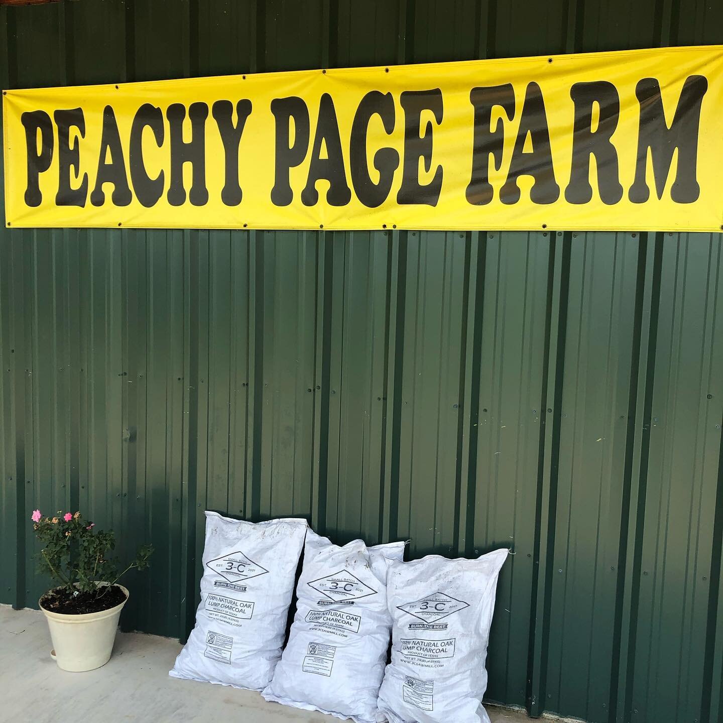 Another day, another opportunity to make something happen. Thank you Peachy Page Farm for allowing us the opportunity to work with you. Go see them for all you summertime needs.