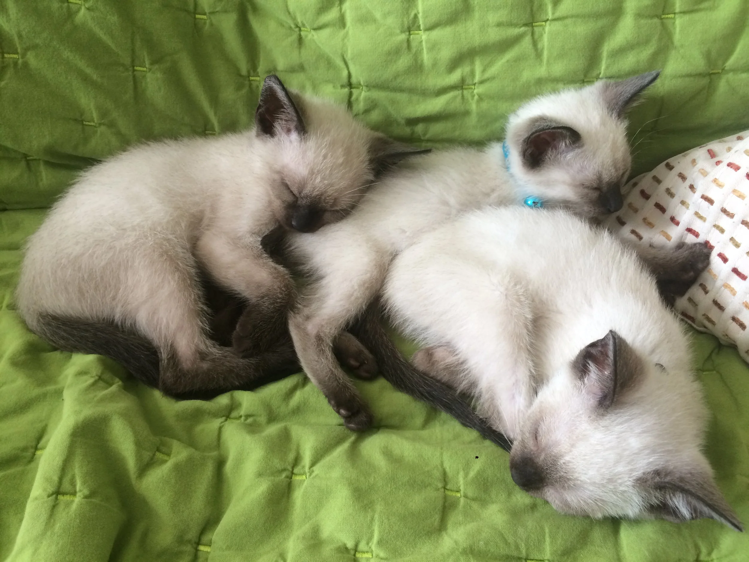 Post two - thumbnail image, excerpt, and main image too