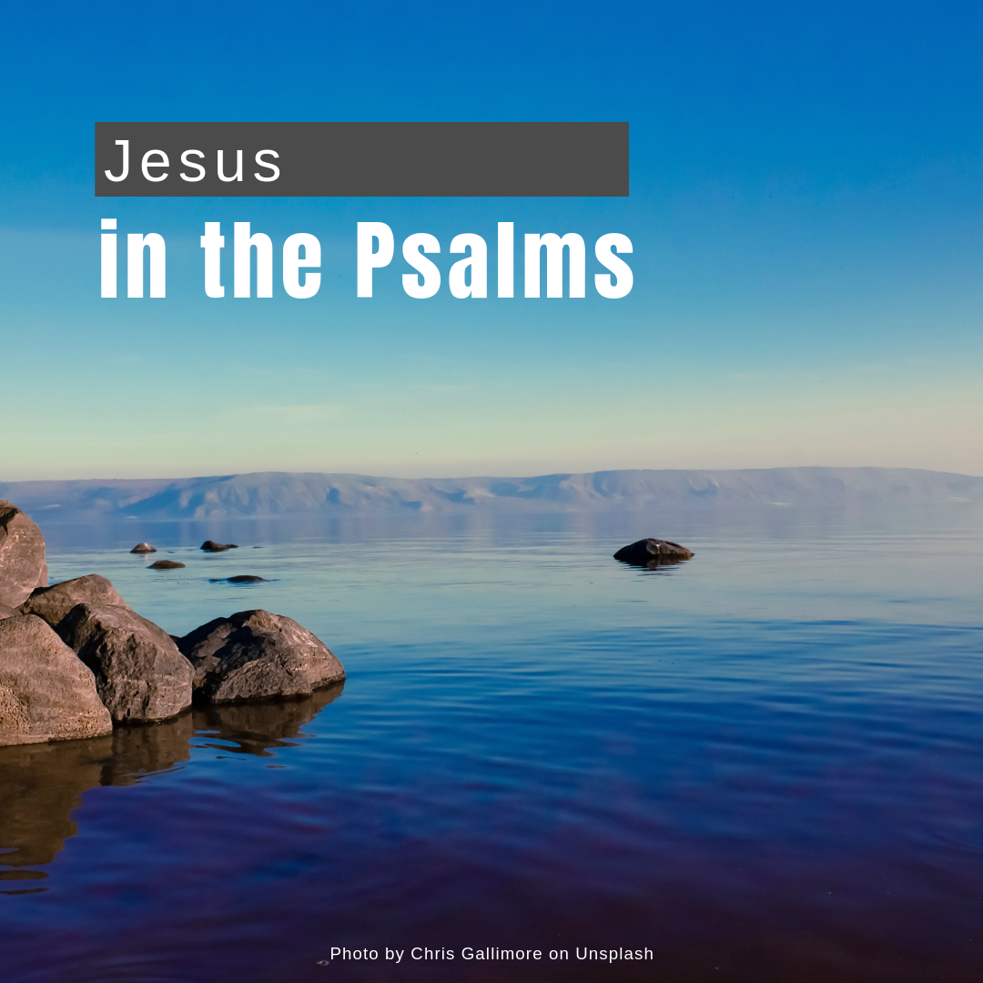 Jesus in the Psalms.png