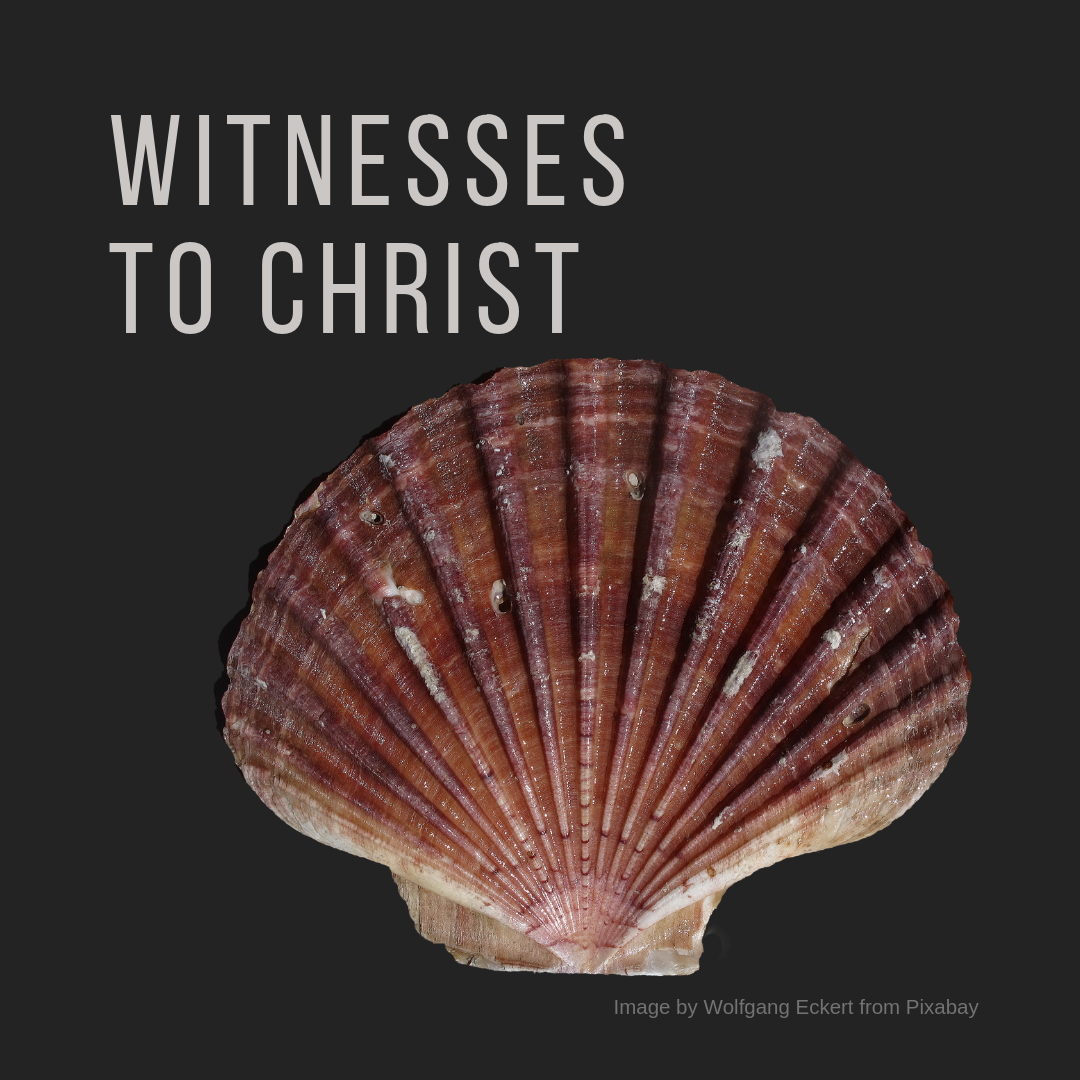 Witnesses to Christ