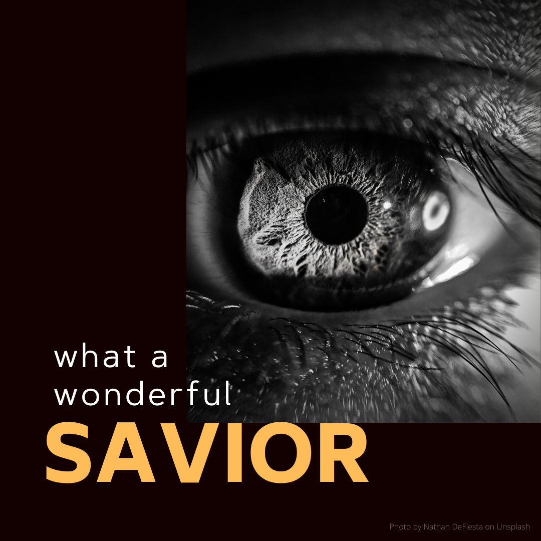 What a Wonderful Savior