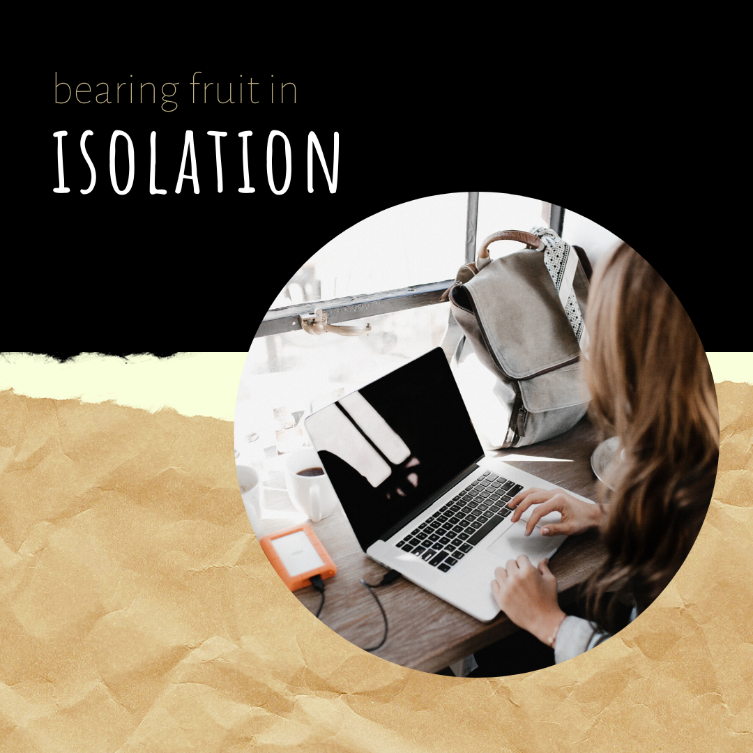 Fruit in Isolation