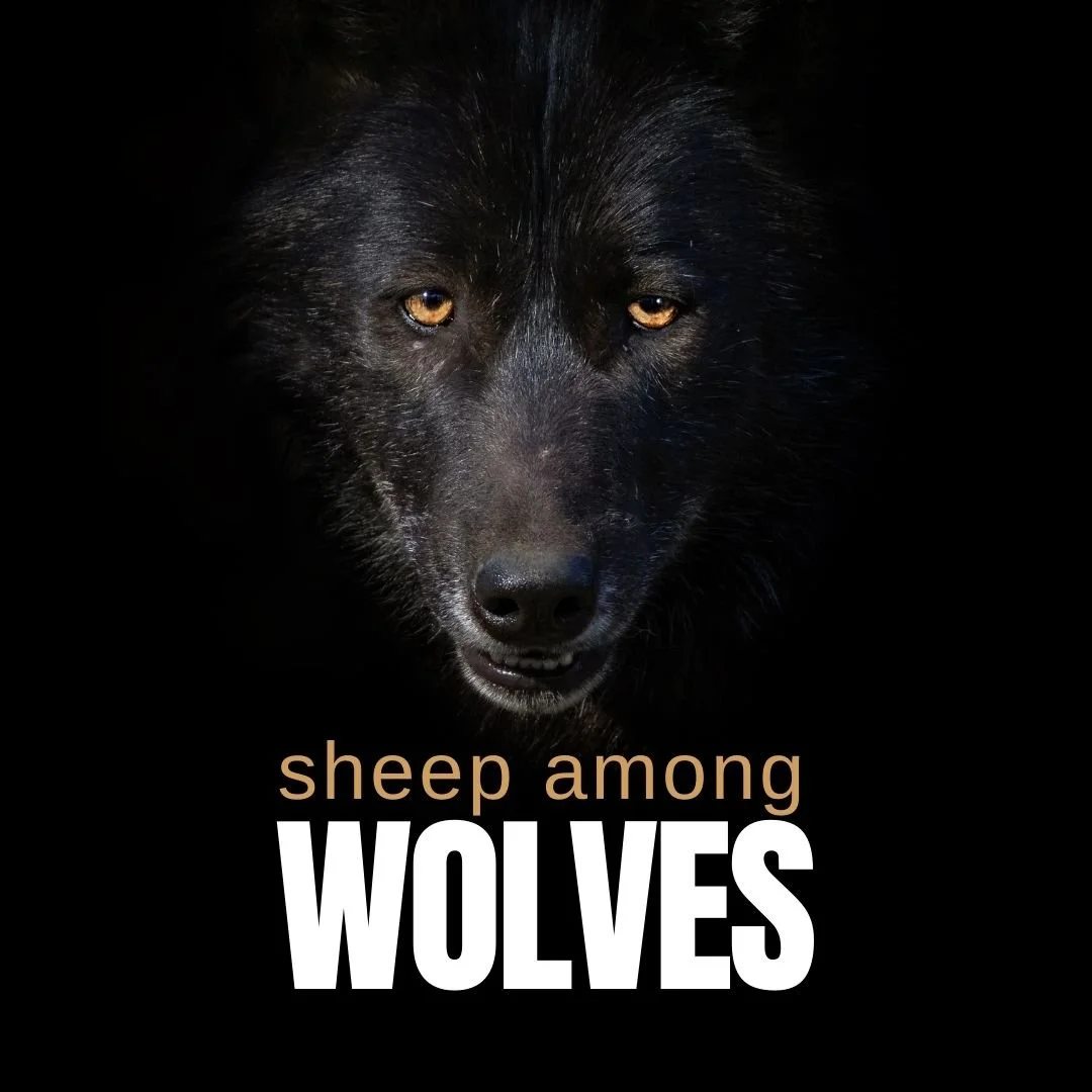 Sheep Among Wolves