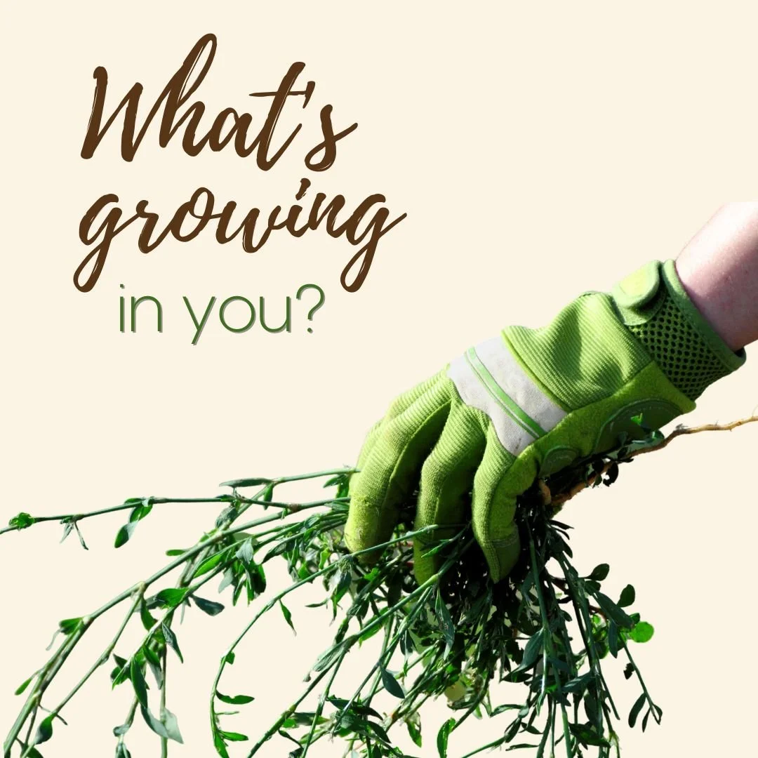 What's Growing in You?