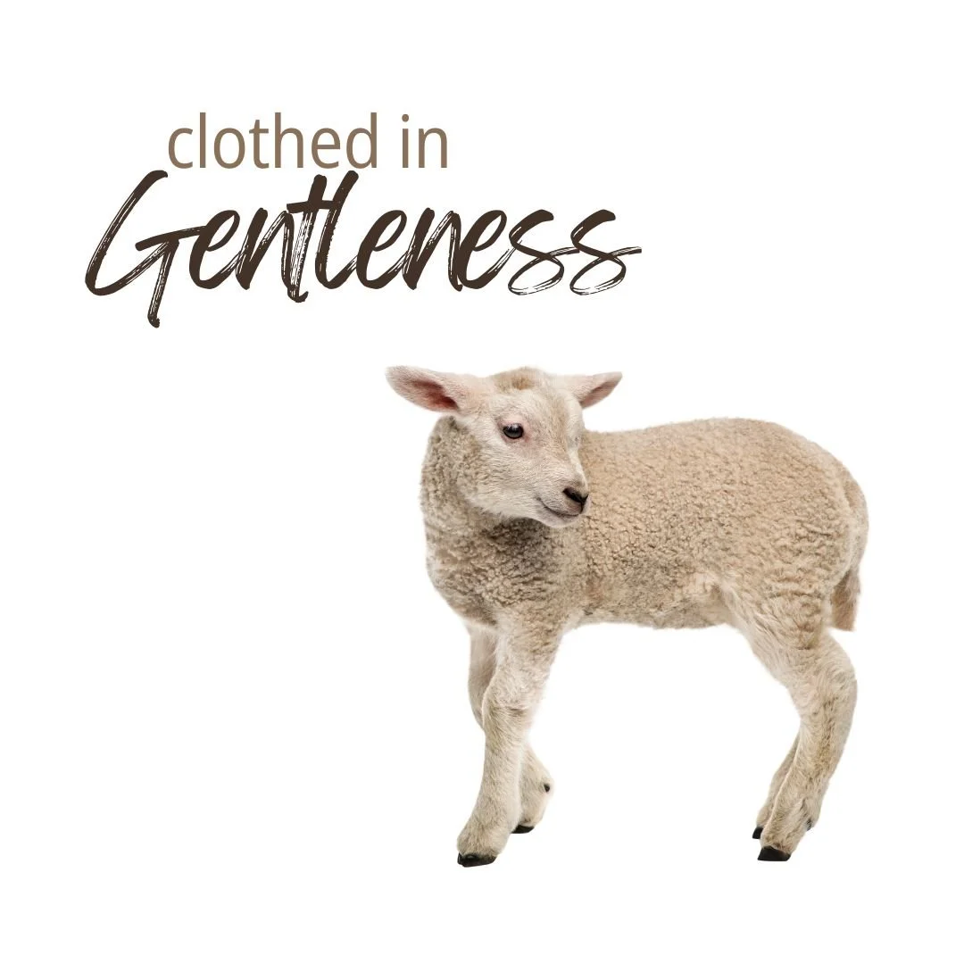 Clothed in Gentleness