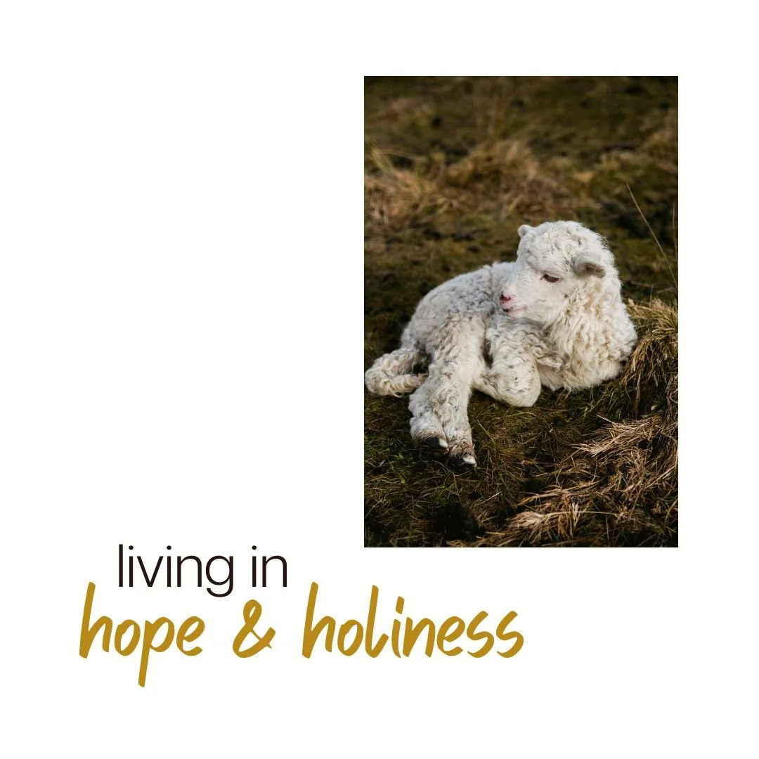 Living in Hope & Holiness