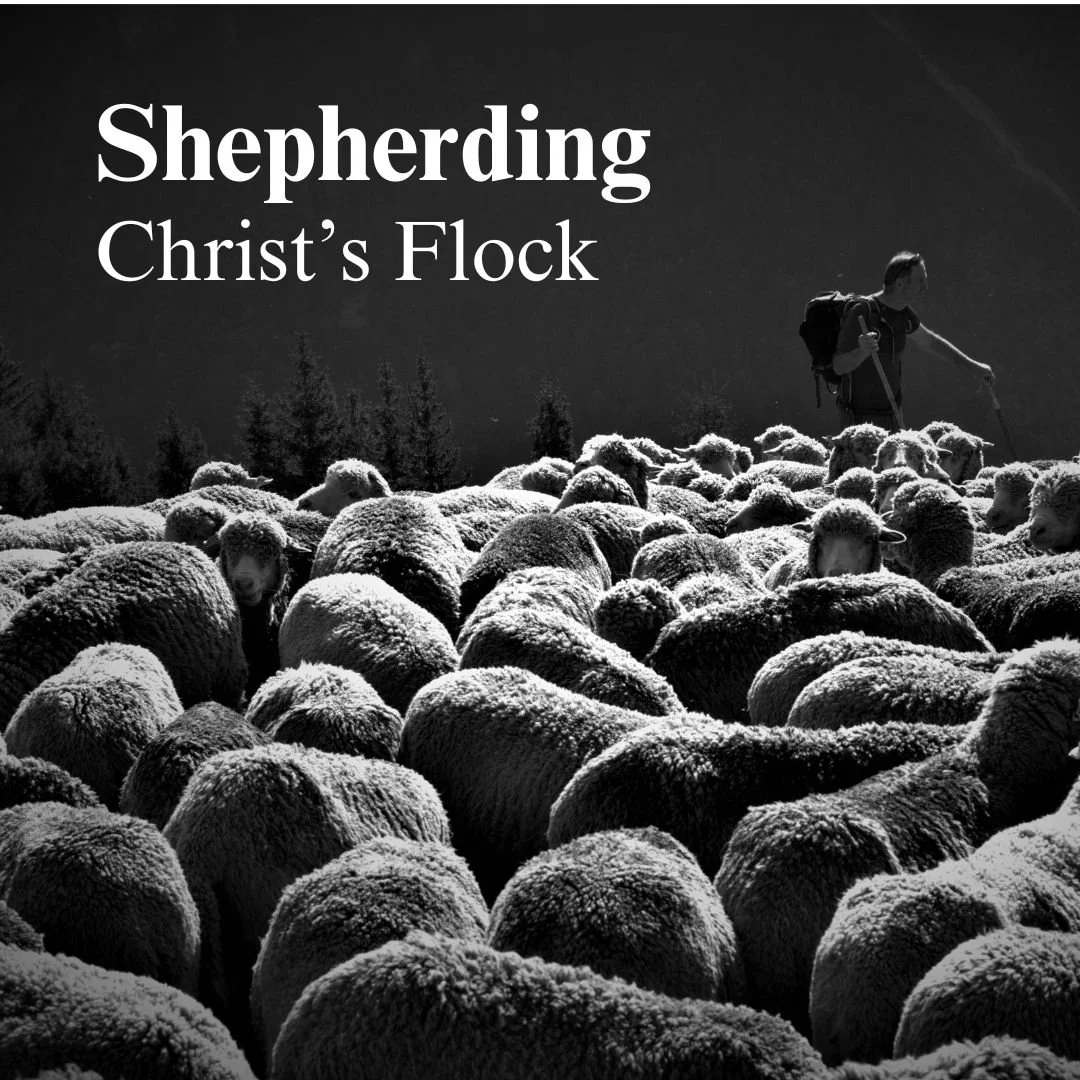 Shepherding Christ's Flock