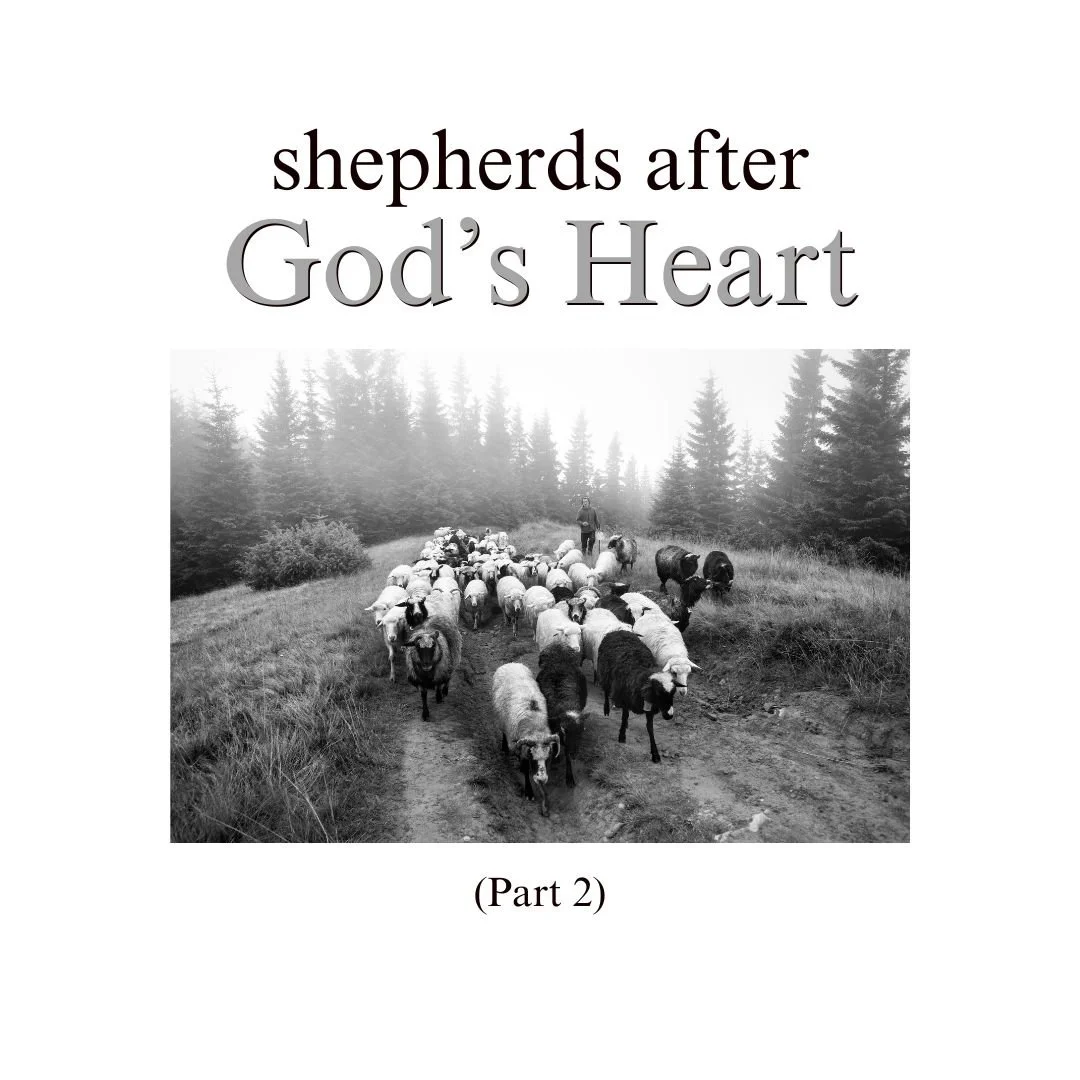 Shepherds After God's Heart (Part 2)
