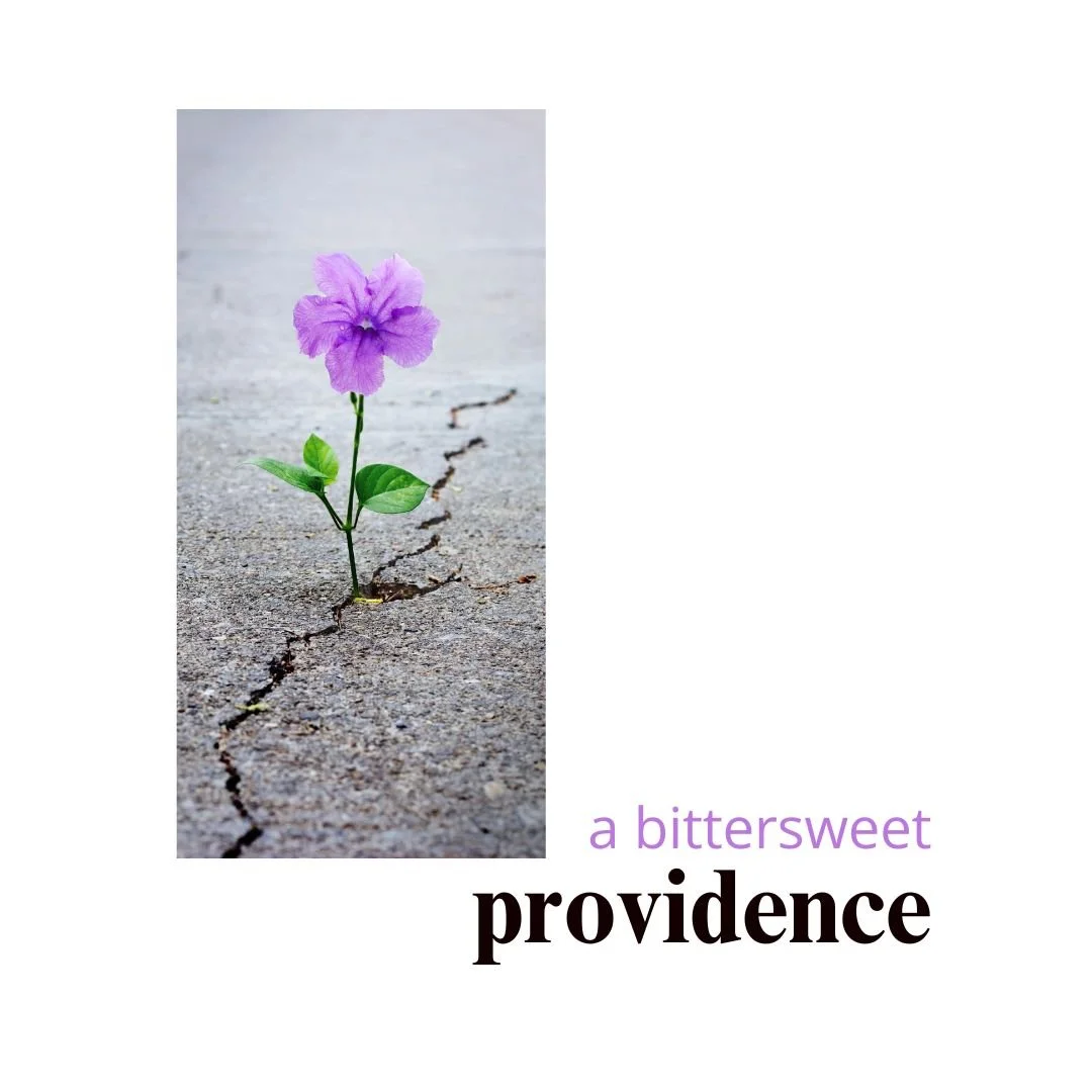 A Bittersweet Providence