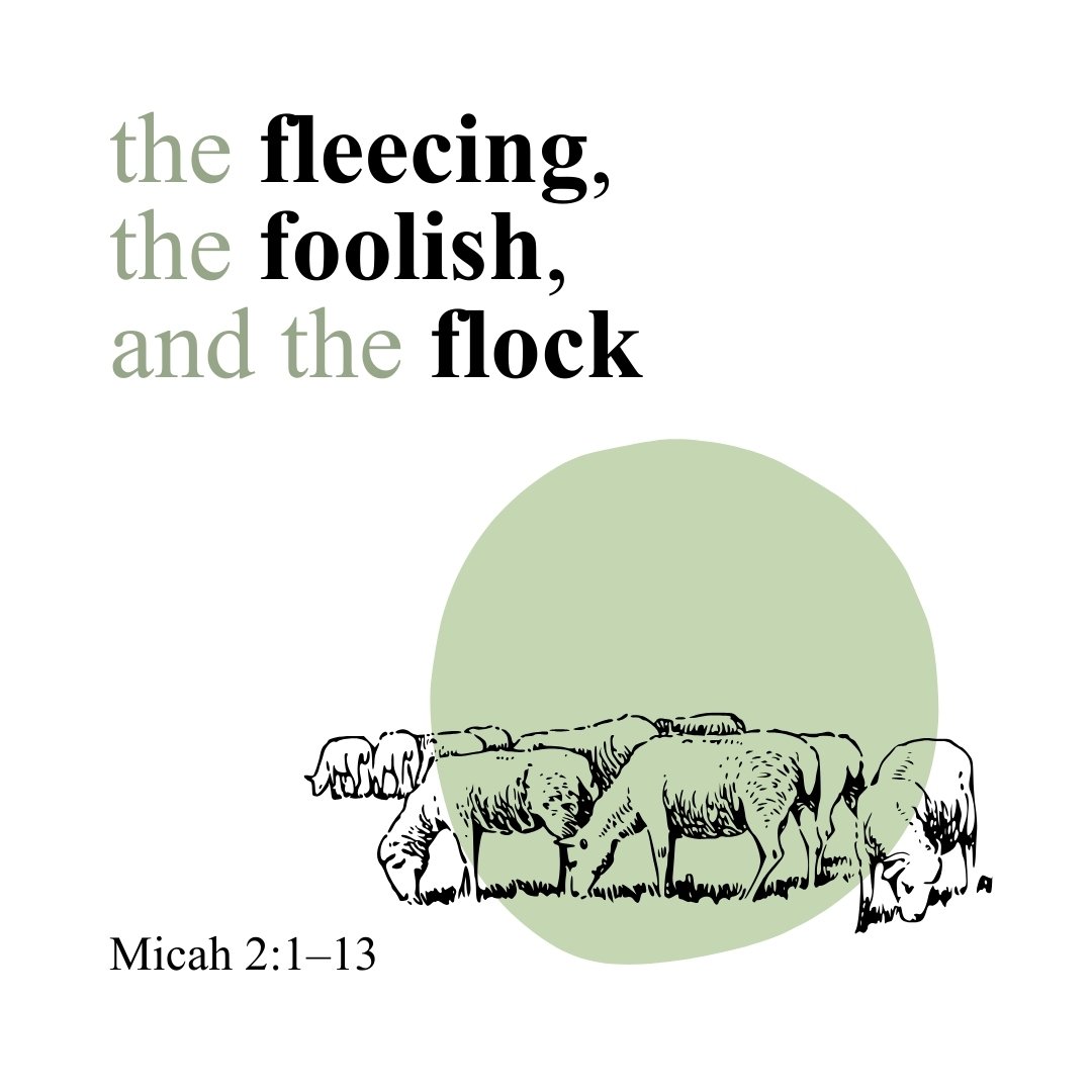 The Fleecing, the Foolish, and the Flock