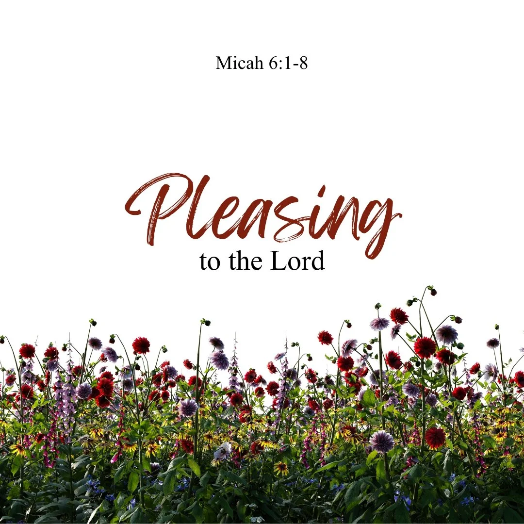 Pleasing to the Lord