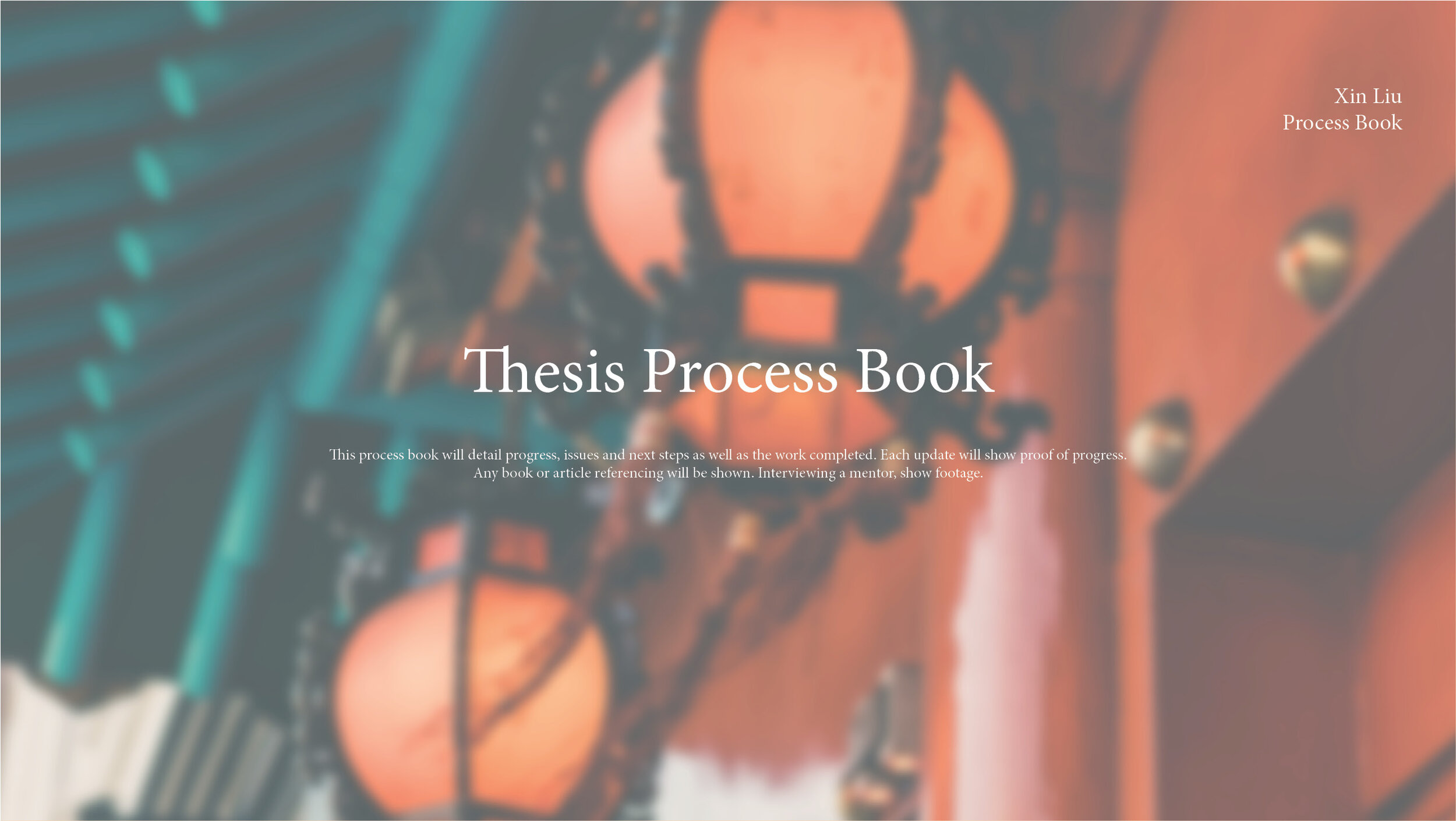 Process Book_Xin.jpg
