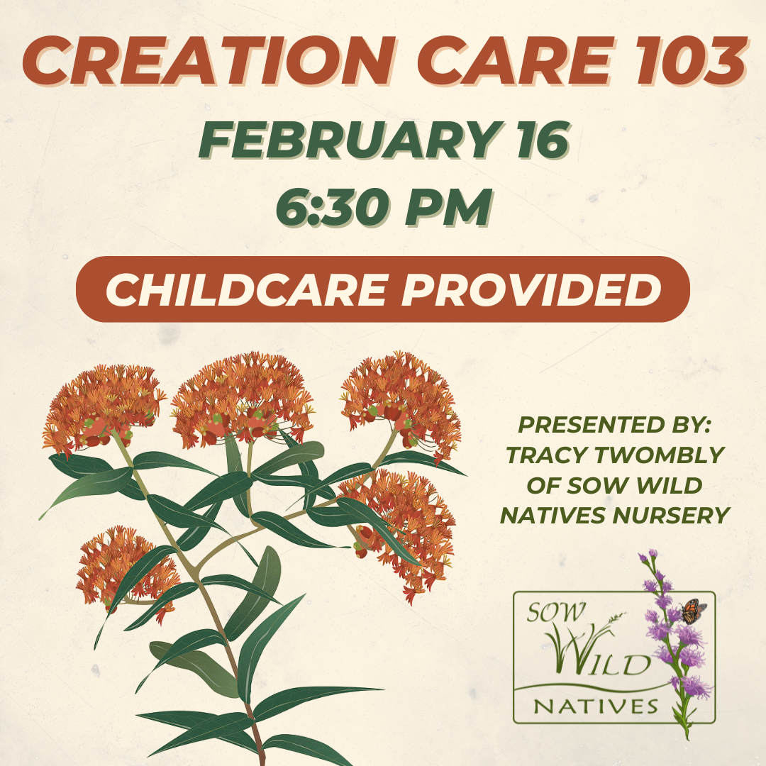 Creation Care 103