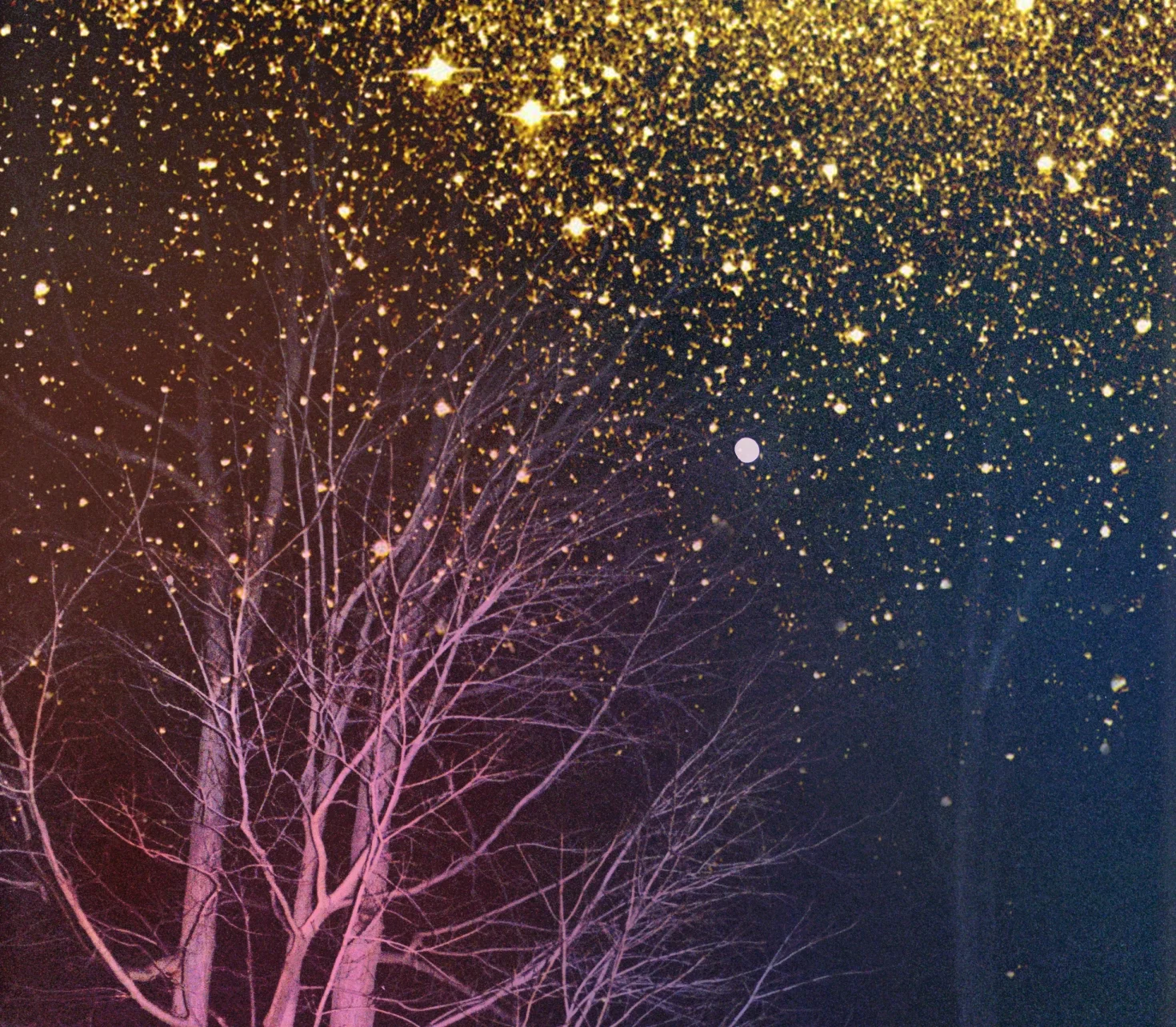 tree_at_night_moon_sparkles_b.jpg