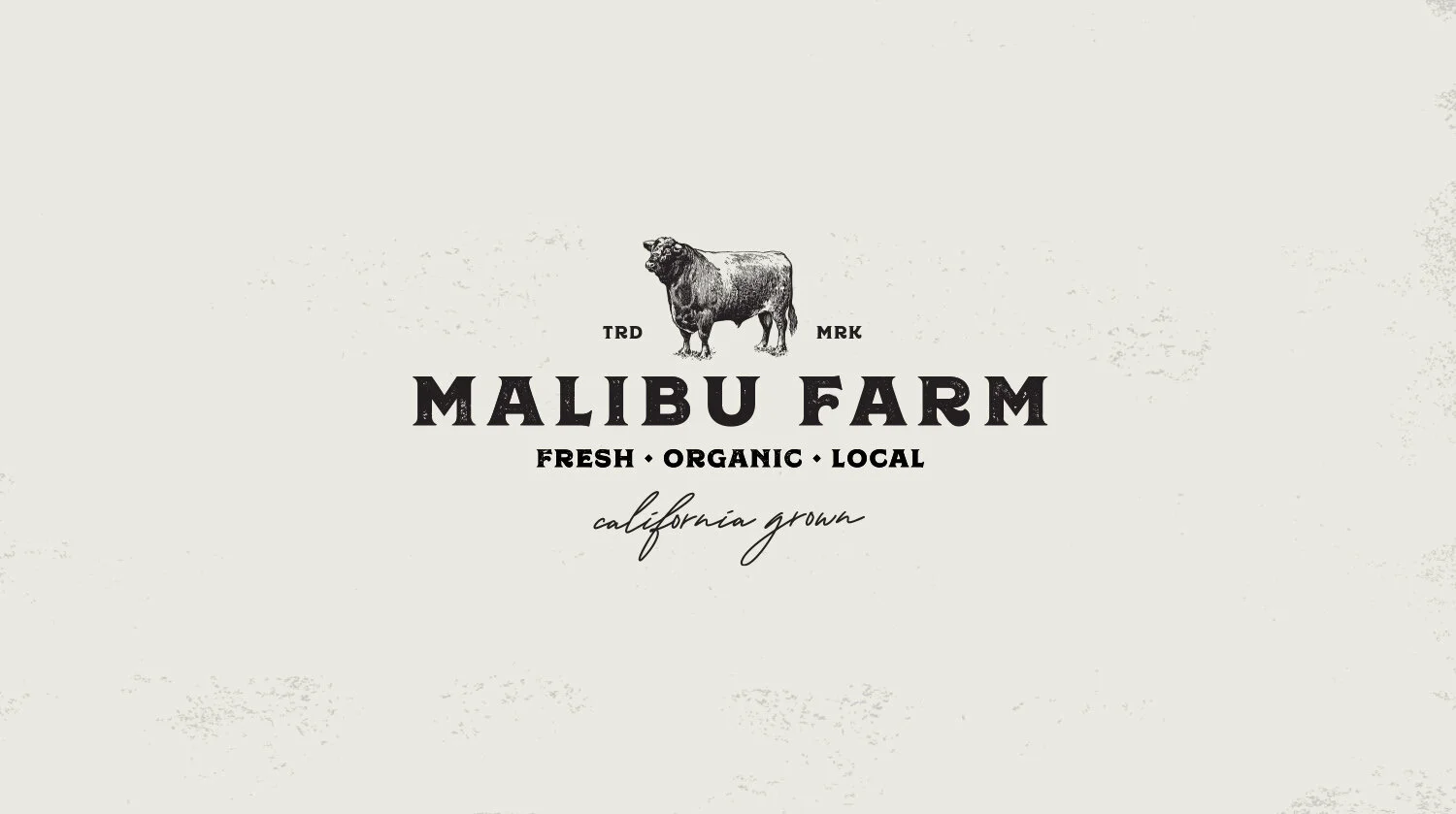 MF_Logo_new copy.jpg