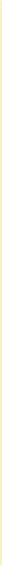BoutiqueCOLLECTIVE_webline_thin_vertical.png