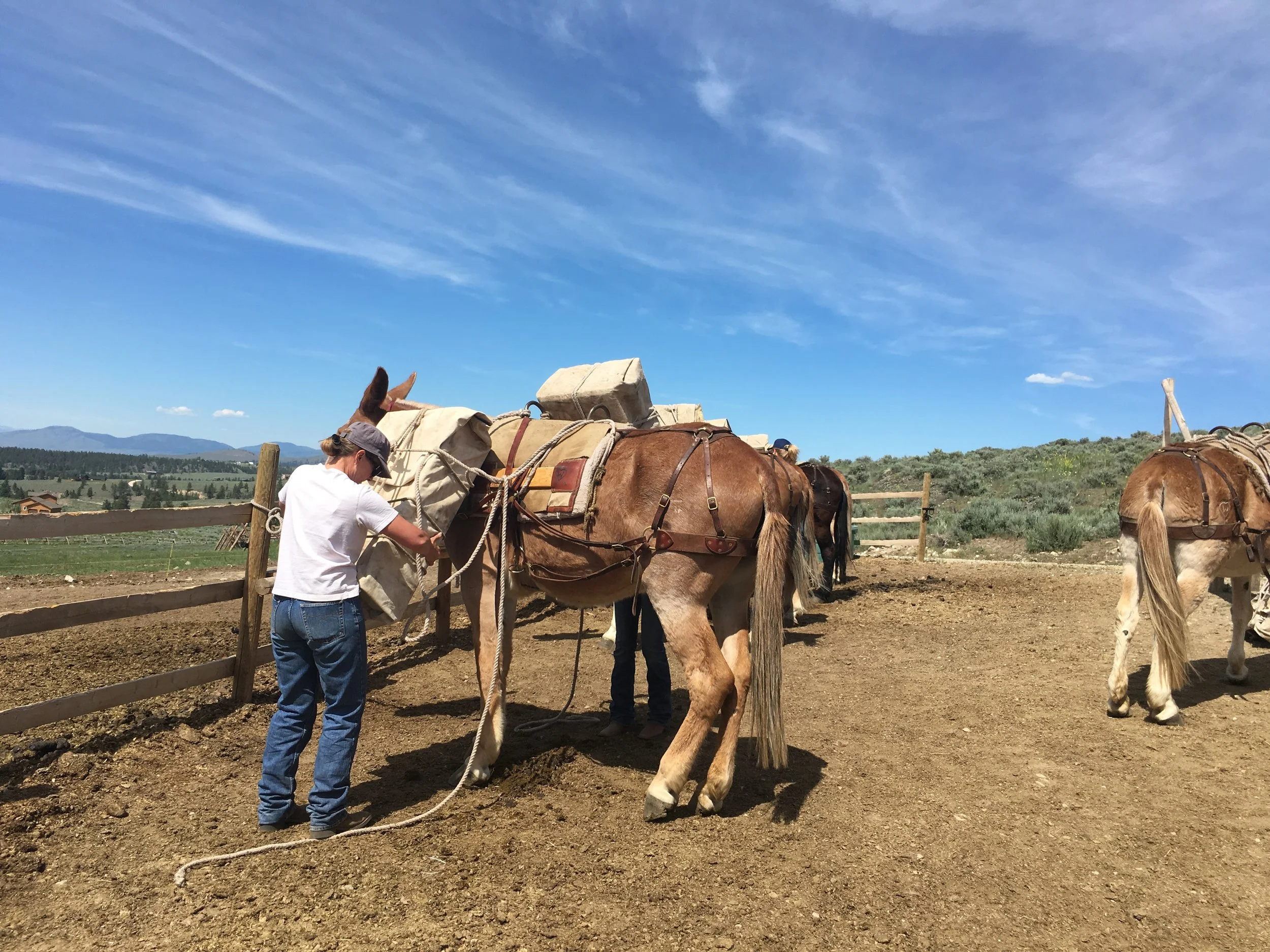 2020 California Packing Clinic! April 4th &amp; 5th