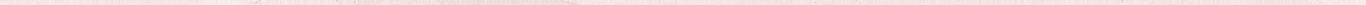 Border 2 - Light Blush.png