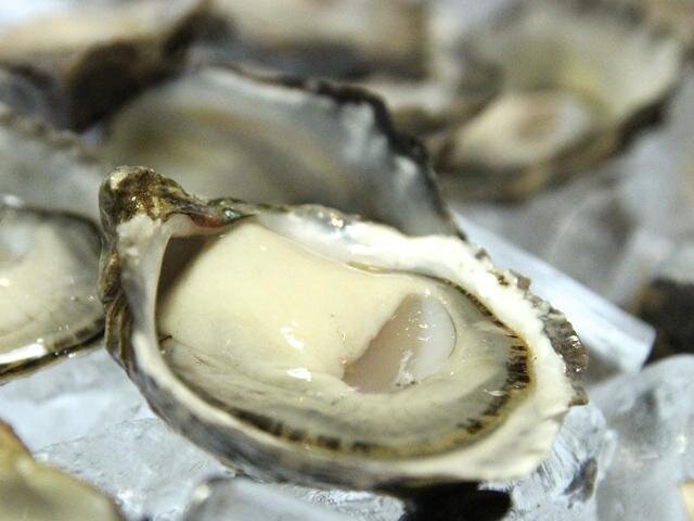 Hama Hama Oysters - bluepool.jpg