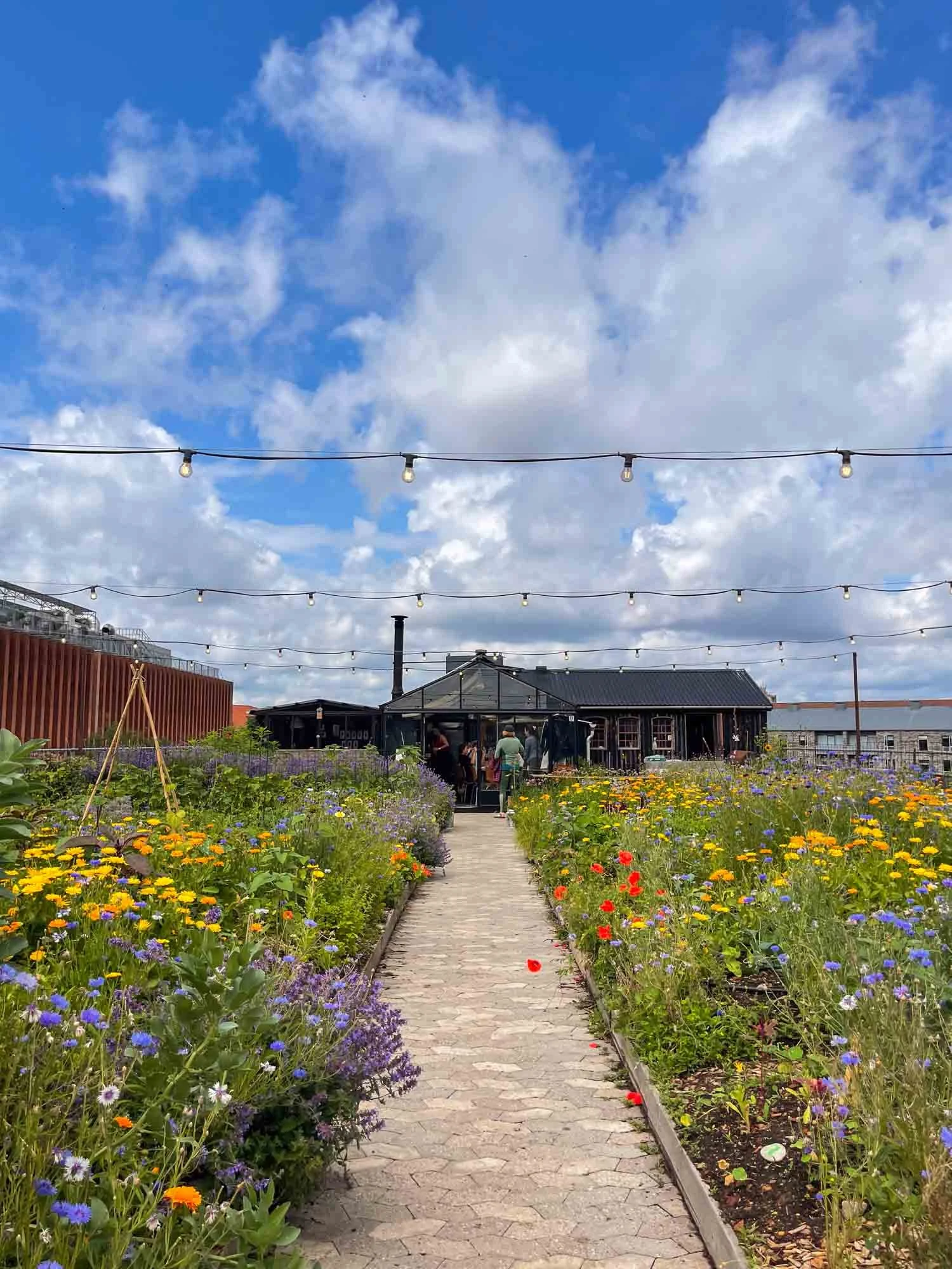 ØsterGRO organic farm in Copenhagen