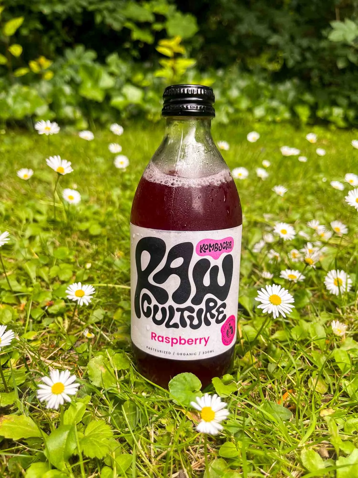 Raw Culture Kombucha
