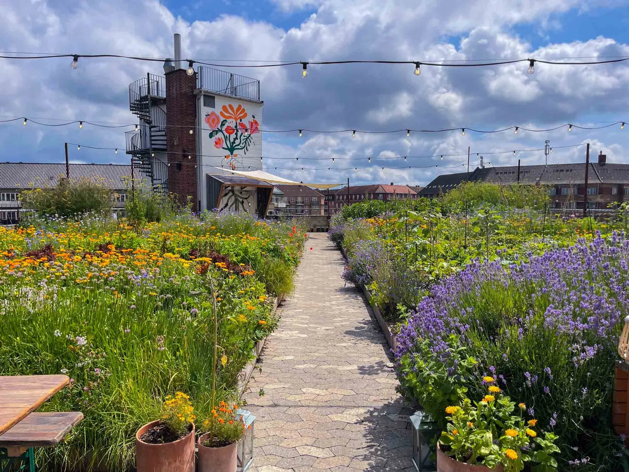ØsterGRO organic farm, Copenhagen