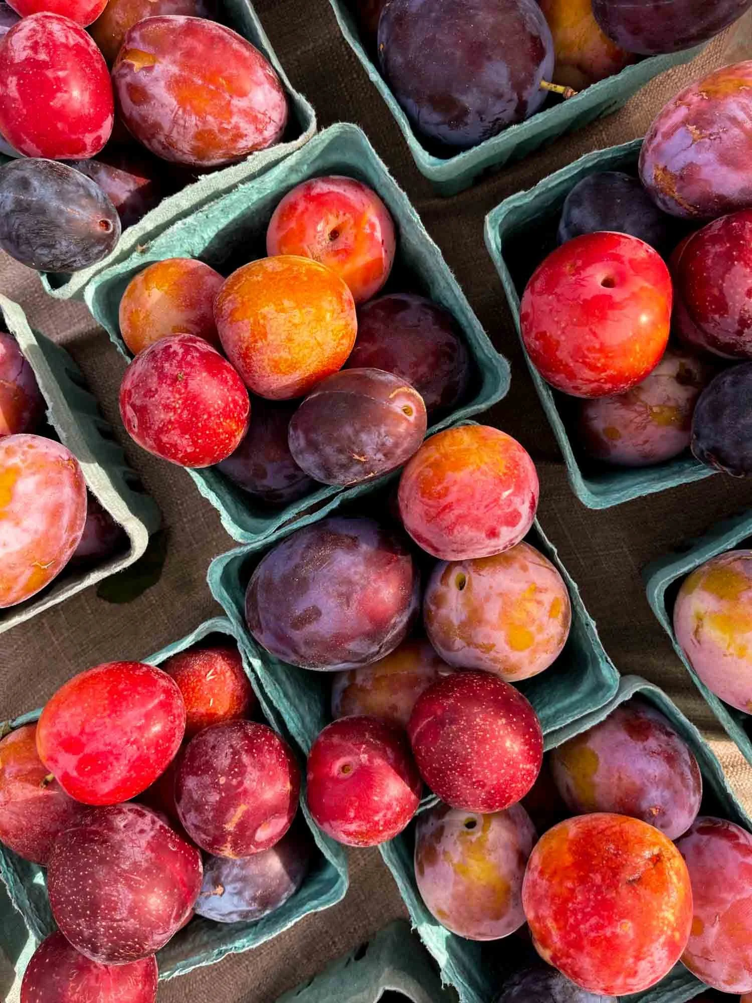 Hood River Farmers Market in Hood River, Oregon