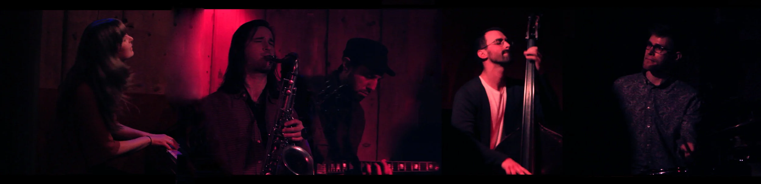 Cat Toren Band Banner.jpg
