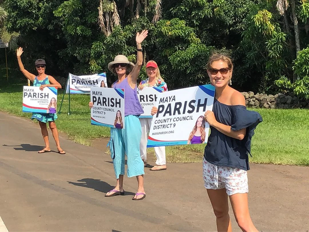 sign wavers 1.jpg