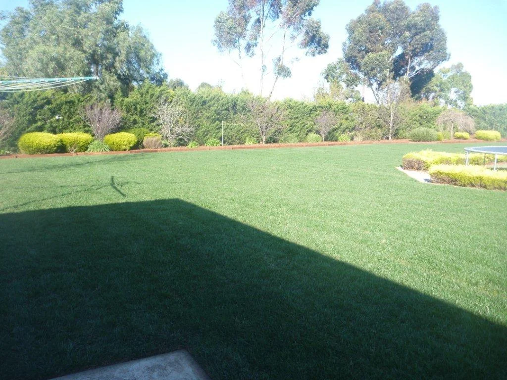 residential-back-yard-2.jpg
