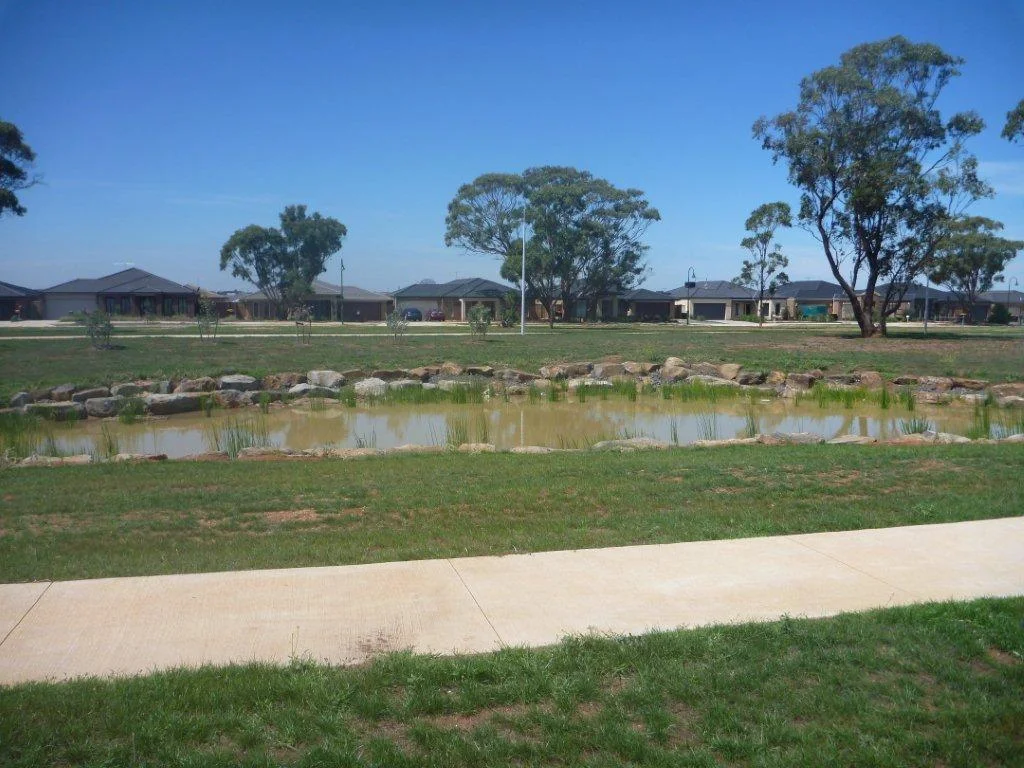 wetlands-2.jpg