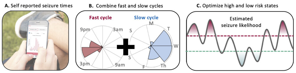 Creating a seizure forecast. From Karoly et al (2020)