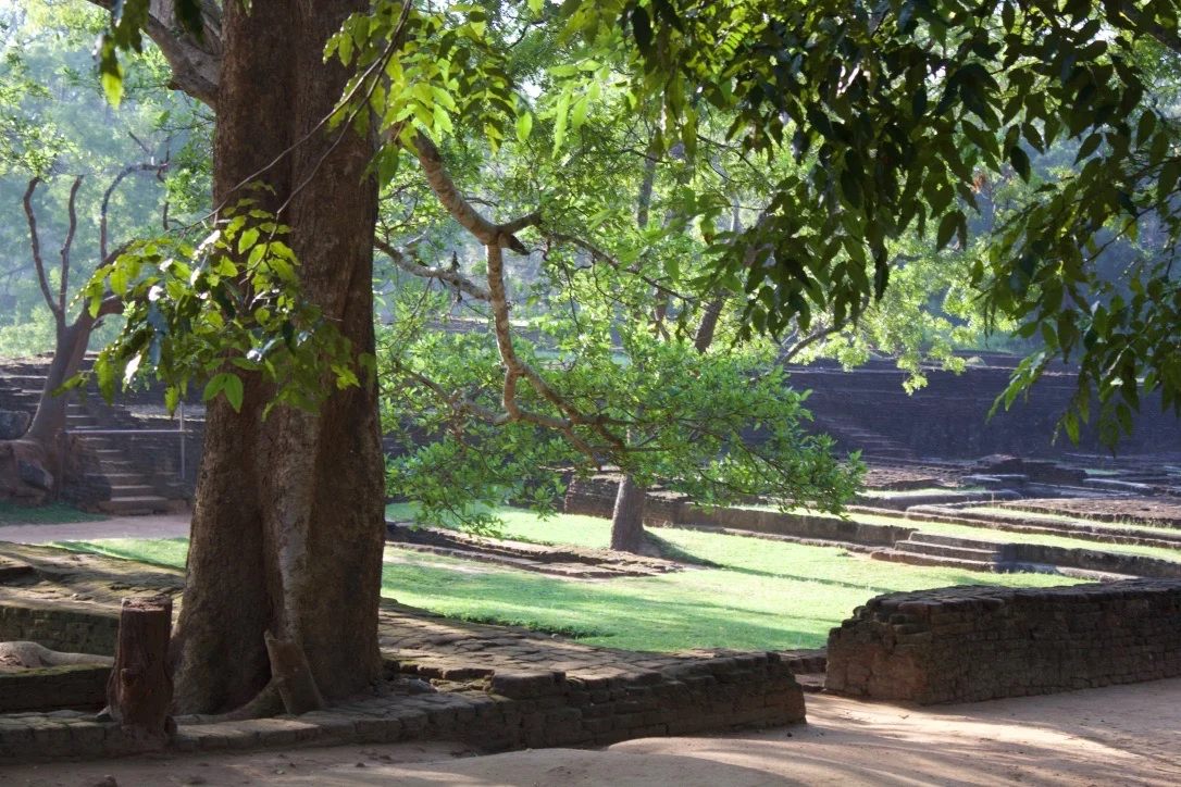 PRESERVATION OF THE SILK ROAD: THE ANCIENT CITY OF SIGIRIYA AND ITS FRESCOS