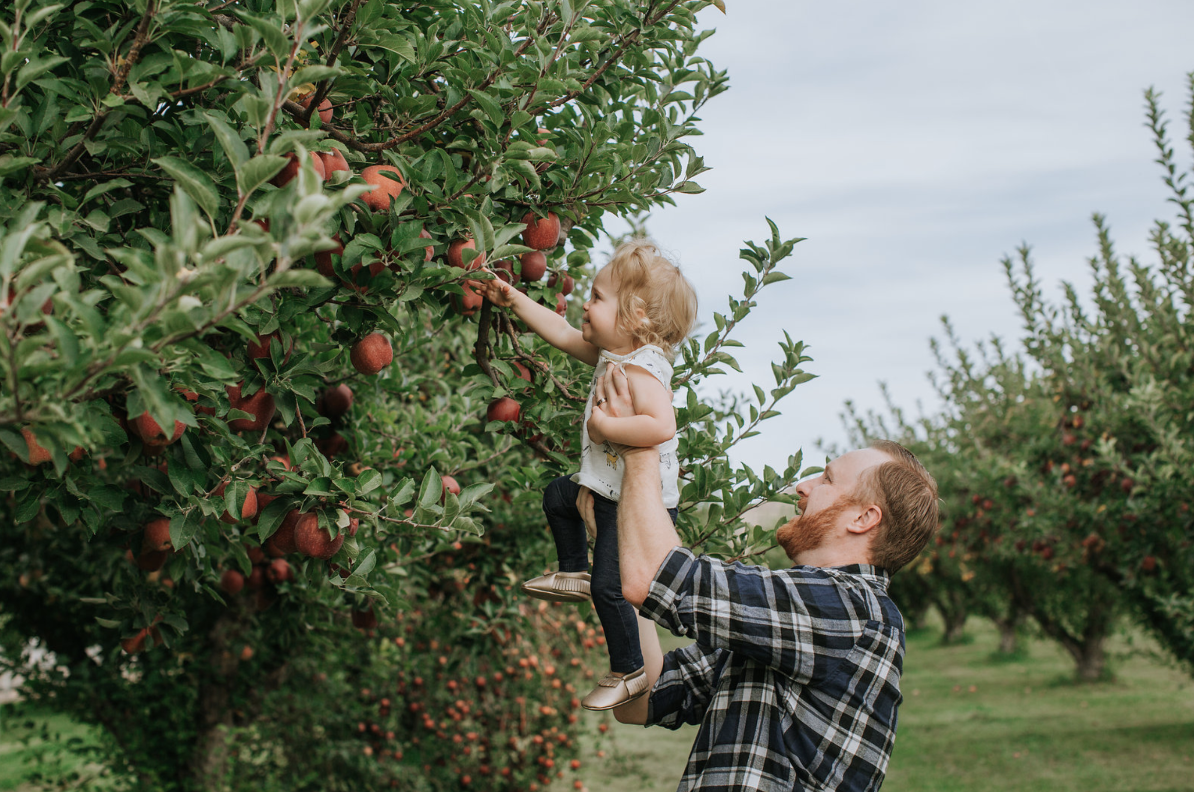 Apple Orchard Family Photos