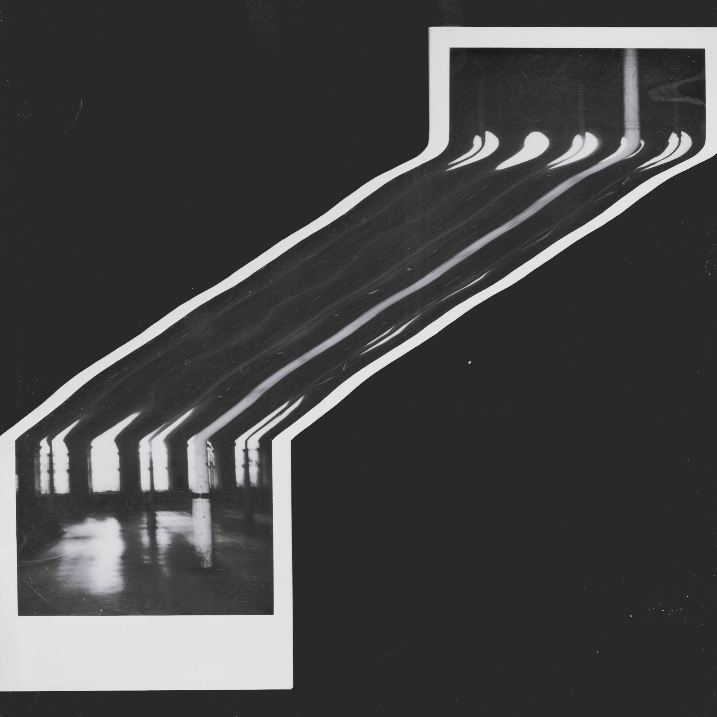 Perpetual Guest BW cover.jpg