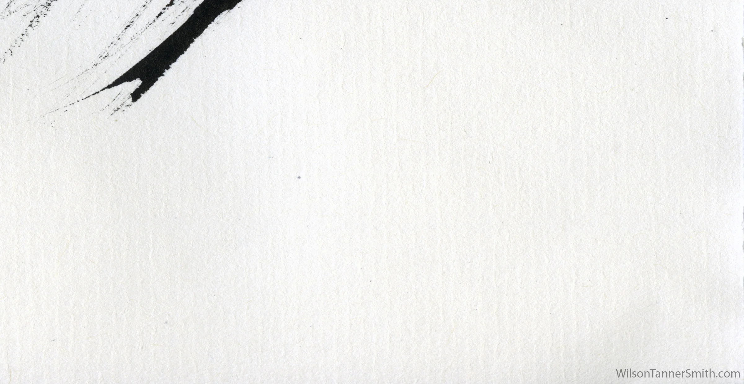 brush-5a.jpg