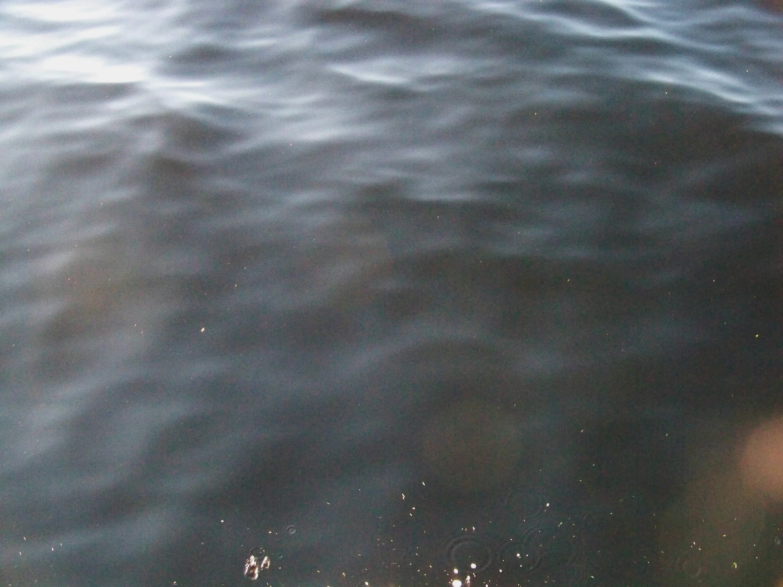 100_4496 adjusted.jpg