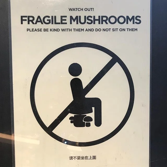 Show me to the mushrooms you CAN sit on