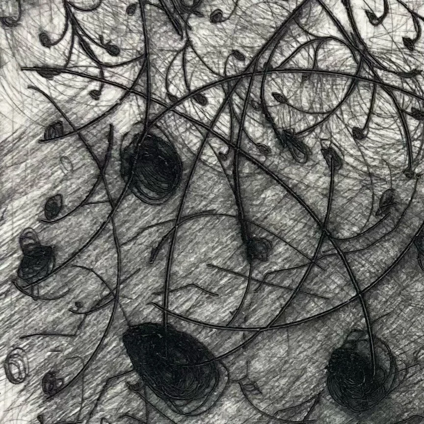 Close up of drypoint marks! 

#drypoint #drypointetching #printmaking #nontoxicprintmaking #closeup