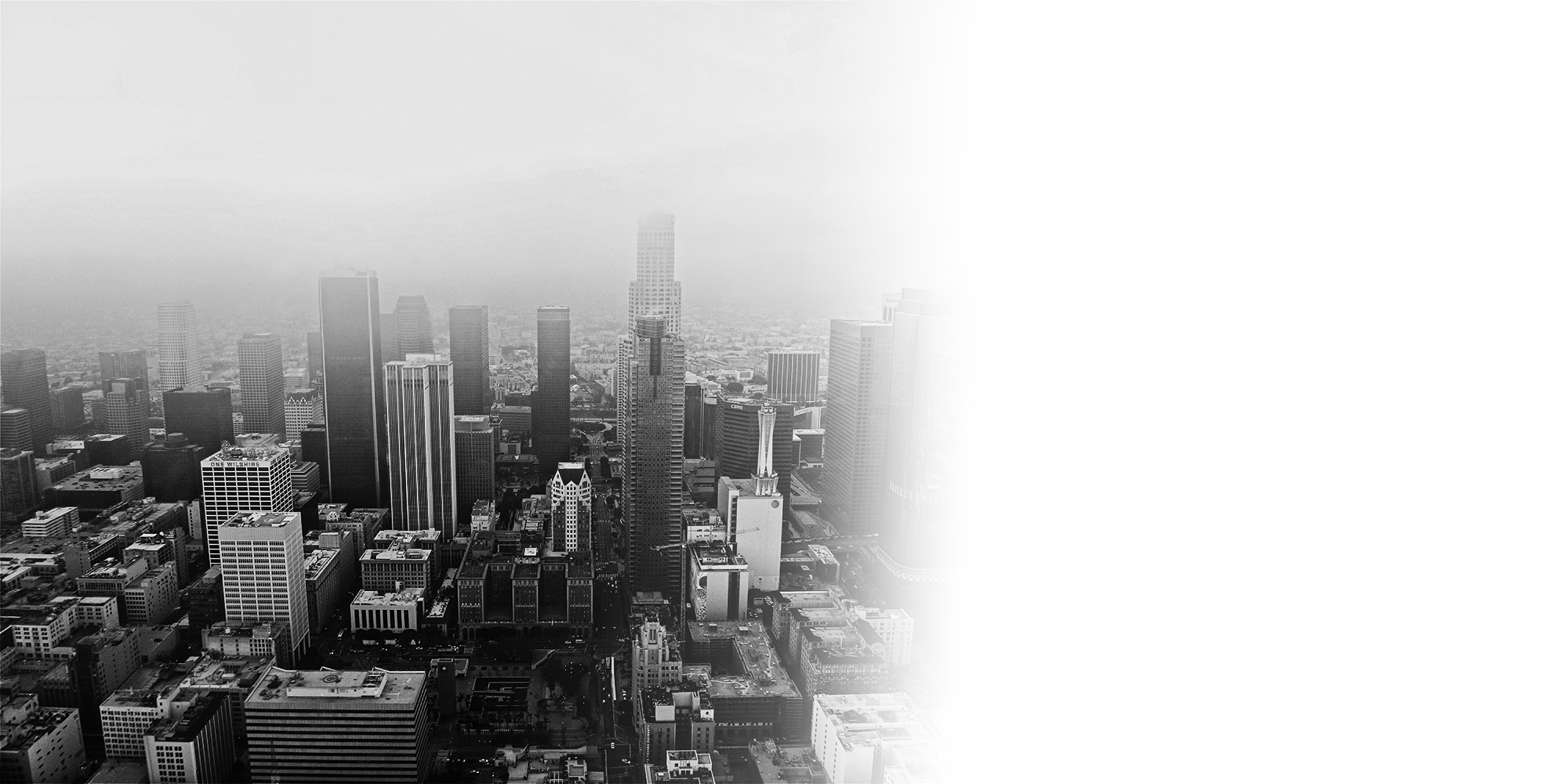 TFHwebsiteheader2.png